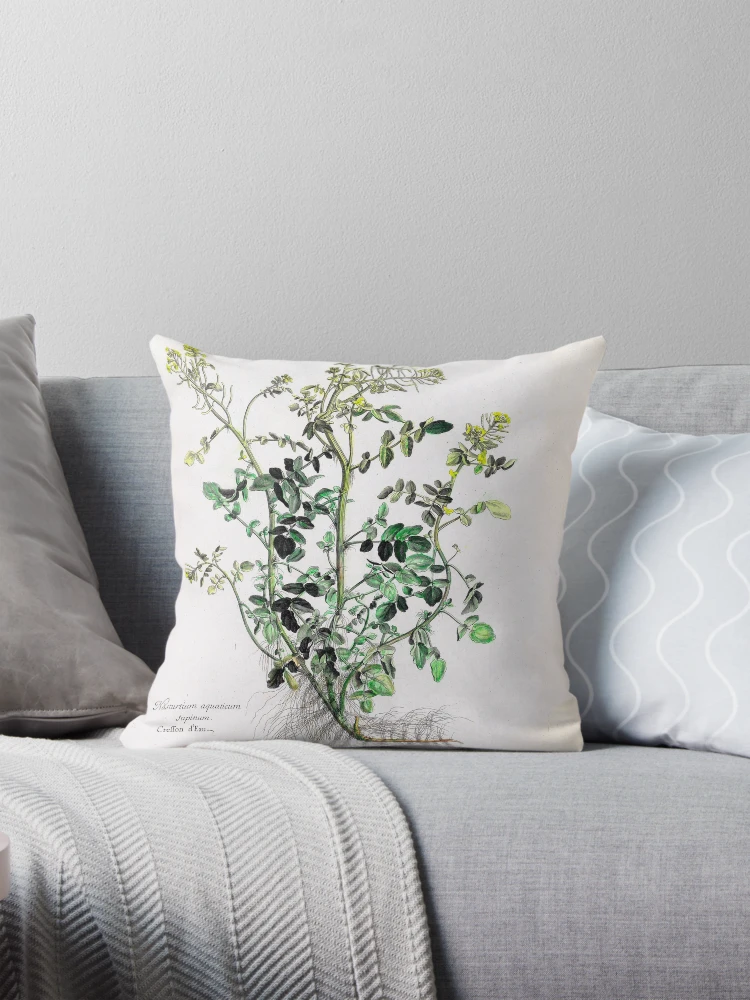Aperçu 1 sur 4. Coussin avec l'œuvre [Recueil des plantes dessinées et... créée et vendue par Rodeoclash.