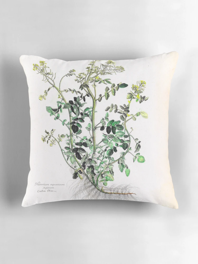 Aperçu 3 sur 4. Coussin avec l'œuvre [Recueil des plantes dessinées et... créée et vendue par Rodeoclash.