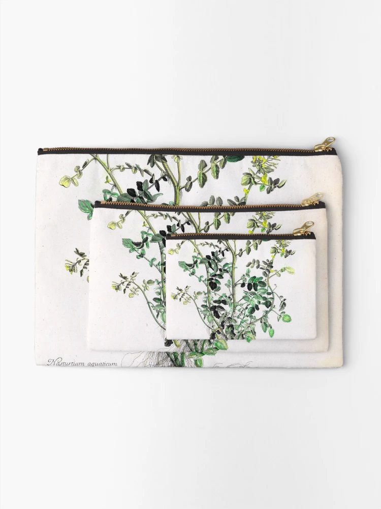 Aperçu 2 sur 4. Pochette avec l'œuvre [Recueil des plantes dessinées et... créée et vendue par Rodeoclash.