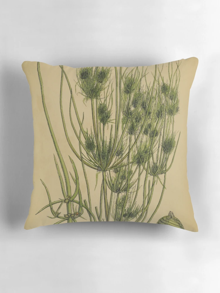 Aperçu 3 sur 4. Coussin avec l'œuvre English botany or Coloured figures... créée et vendue par Rodeoclash.