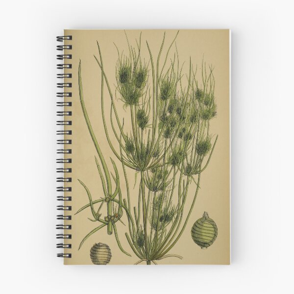Item preview, English botany or Coloured figures... designed and sold by Rodeoclash.