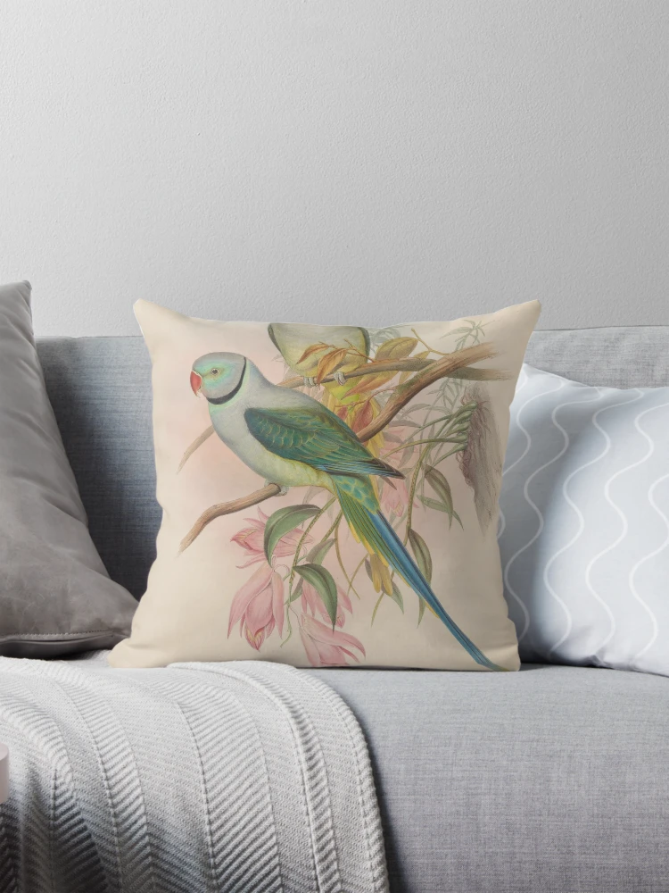 Aperçu 1 sur 4. Coussin avec l'œuvre Birds of Asia by John... créée et vendue par Rodeoclash.