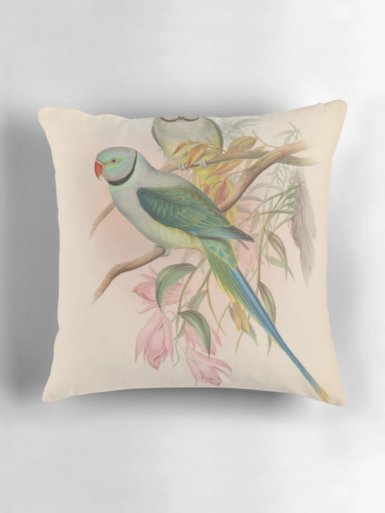 Aperçu 3 sur 4. Coussin avec l'œuvre Birds of Asia by John... créée et vendue par Rodeoclash.