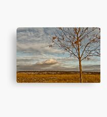 Saskatchewan Landscape Canvas Print