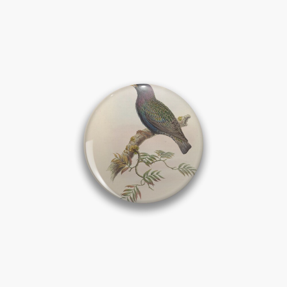 Aperçu de l'œuvre Badge créée et vendue par Rodeoclash.