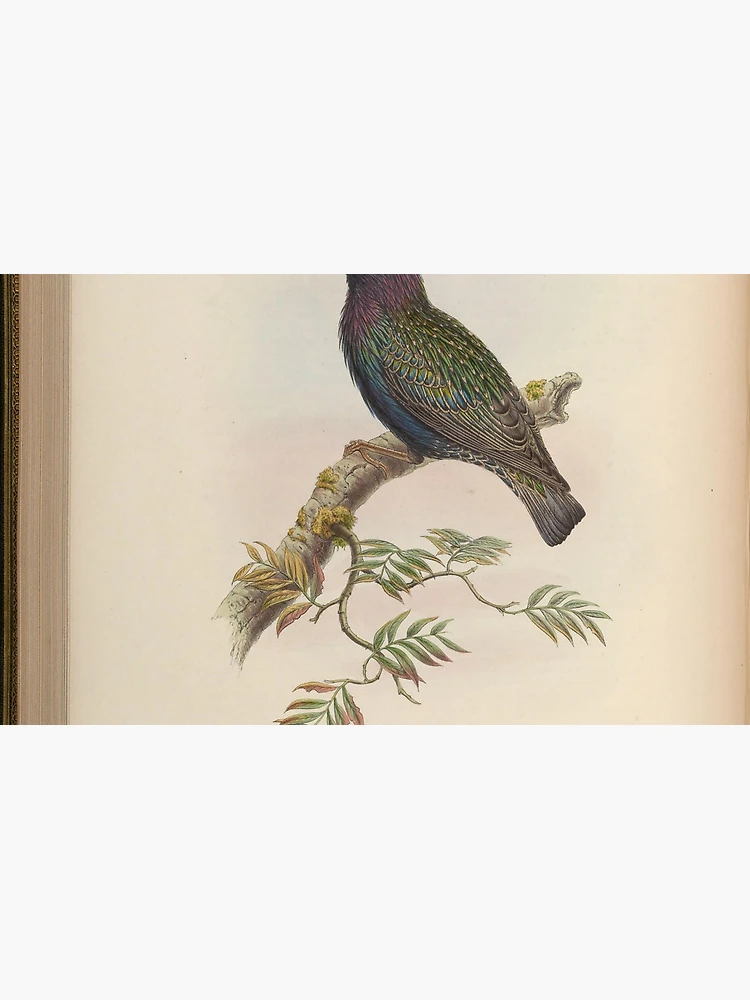 Aperçu 4 sur 4. Mug à café avec l'œuvre Birds of Asia by John... créée et vendue par Rodeoclash.