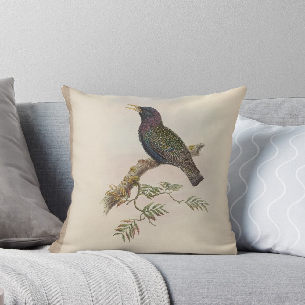 Aperçu de l'œuvre Coussin créée et vendue par Rodeoclash.