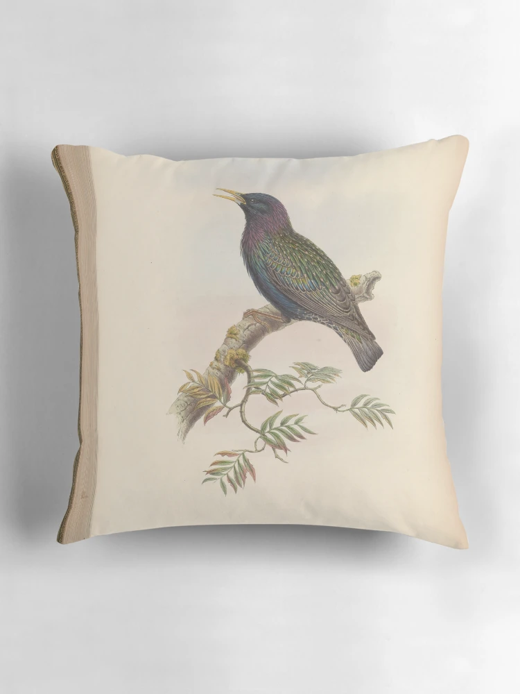 Aperçu 3 sur 4. Coussin avec l'œuvre Birds of Asia by John... créée et vendue par Rodeoclash.