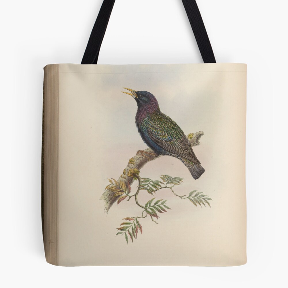 Aperçu de l'œuvre Tote bag doublé créée et vendue par Rodeoclash.