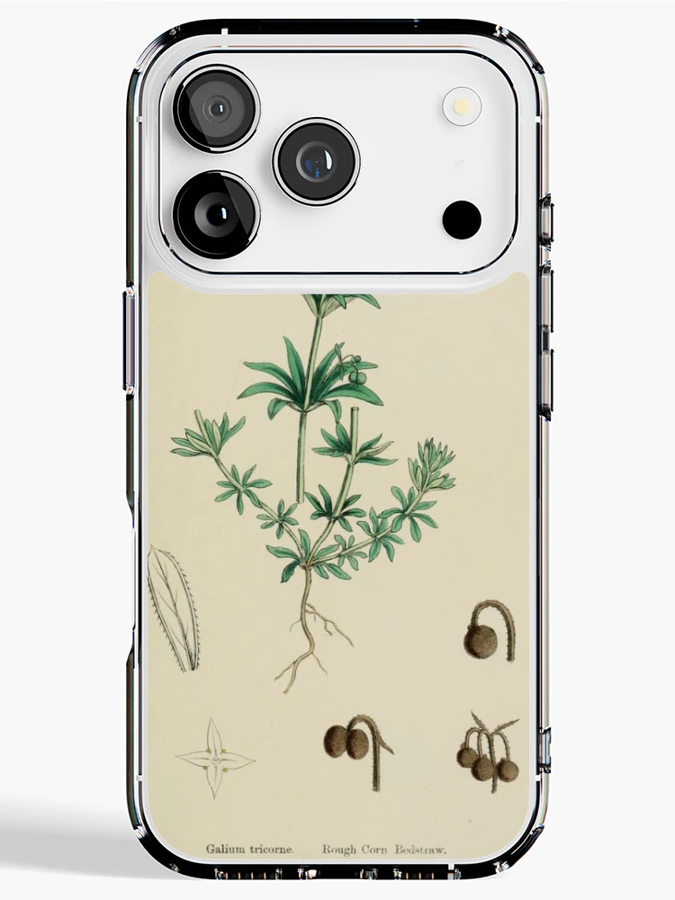 Imagen 1 de 5, Funda de iPhone con la obra English botany or Coloured figures..., diseñada y vendida por Rodeoclash.