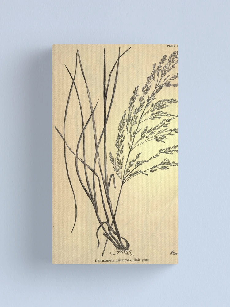 Imagen 1 de 3, Lienzo con la obra The agricultural grasses and forage..., diseñada y vendida por Rodeoclash.