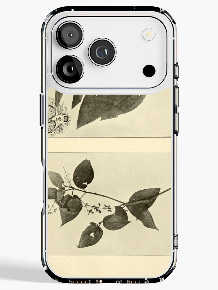 Imagen 1 de 5, Funda de iPhone con la obra Anexos das Memórias do Instituto..., diseñada y vendida por Rodeoclash.