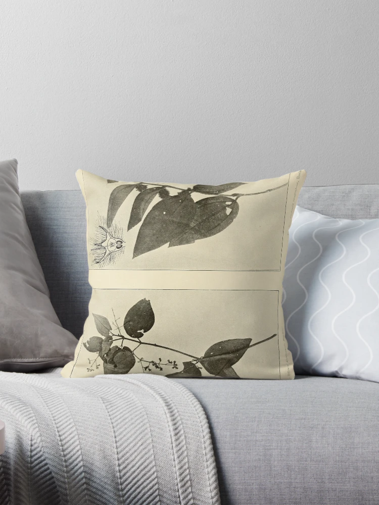 Aperçu 1 sur 4. Coussin avec l'œuvre Anexos das Memórias do Instituto... créée et vendue par Rodeoclash.