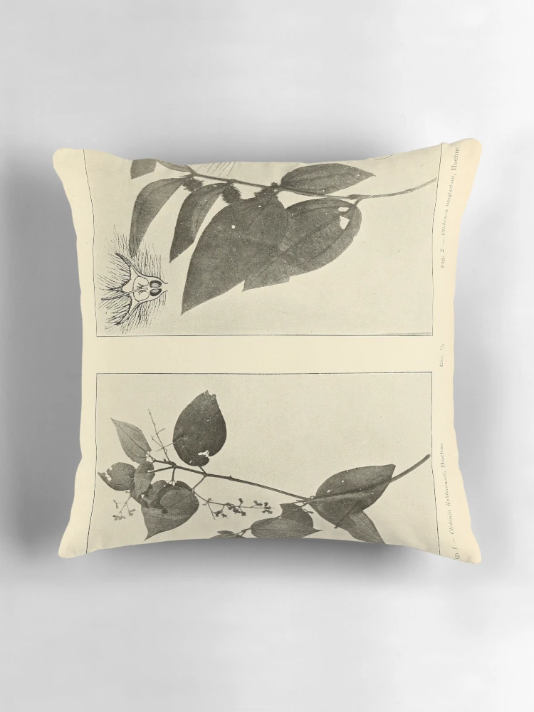 Aperçu 3 sur 4. Coussin avec l'œuvre Anexos das Memórias do Instituto... créée et vendue par Rodeoclash.