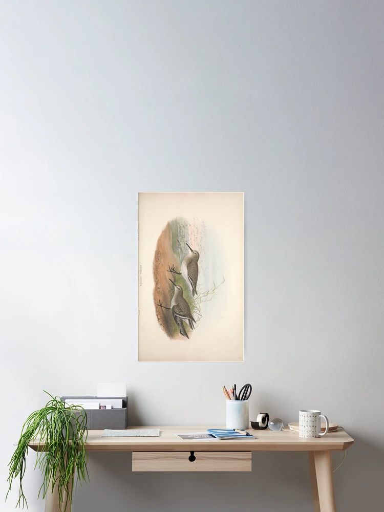 Thumbnail 2 von 3, Poster, The birds of Great Britain... designt und verkauft von Rodeoclash.