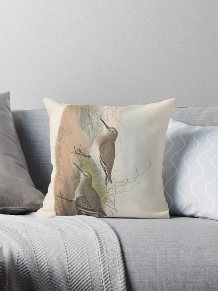 Aperçu 1 sur 4. Coussin avec l'œuvre The birds of Great Britain... créée et vendue par Rodeoclash.
