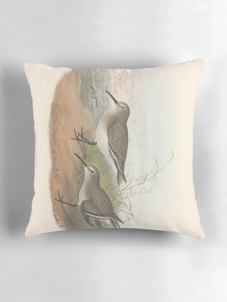 Aperçu 3 sur 4. Coussin avec l'œuvre The birds of Great Britain... créée et vendue par Rodeoclash.