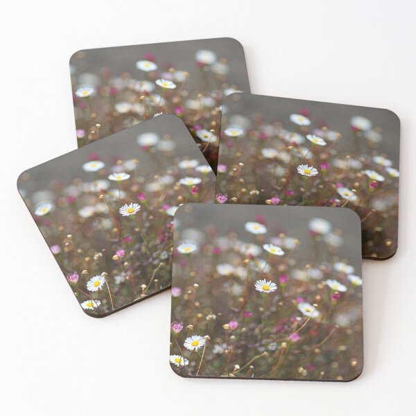Item preview, Daisy White Field designed and sold by Joy Watson - Natural Light Photography .
