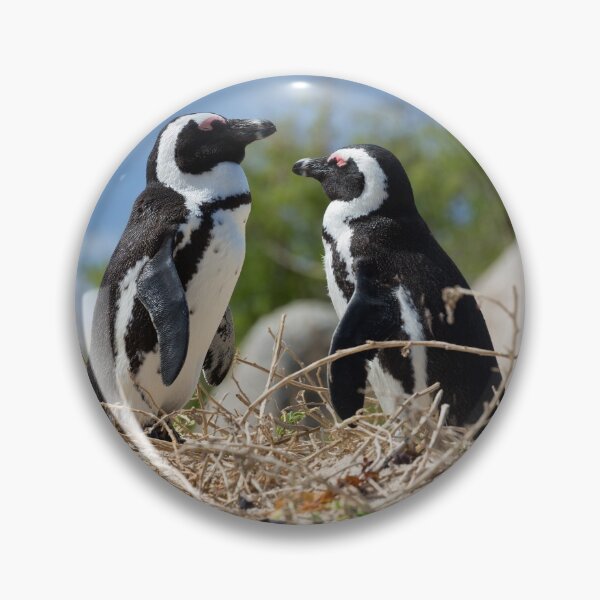 Item preview, Two African Penguins (Spheniscus demersus) designed and sold by Yair Karelic.