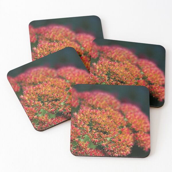 Item preview, Red Sedum Plant Flowers designed and sold by Joy Watson - Natural Light Photography .