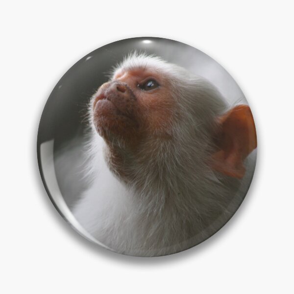 Item preview, Silvery Marmoset designed and sold by KcsArt87.