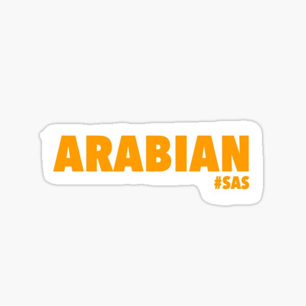 Artikel-Vorschau von Semester auf See: Arabisch, designt und verkauft von Hannah Proffitt.