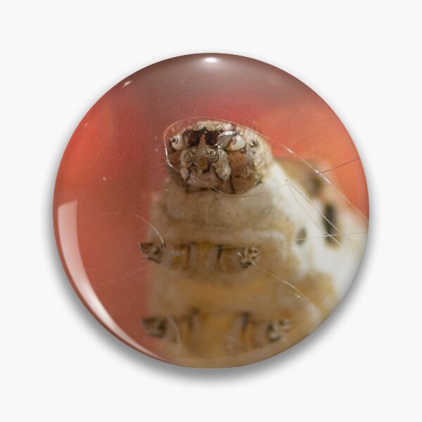 Item preview, Hangry Spinning: Silkworm spinning cocoon designed and sold by nekodokai1.