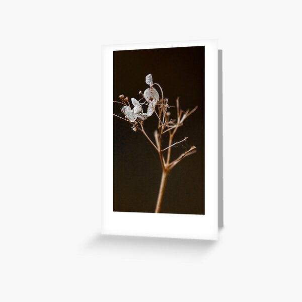 Dried Leaves Greeting Cards | Redbubble