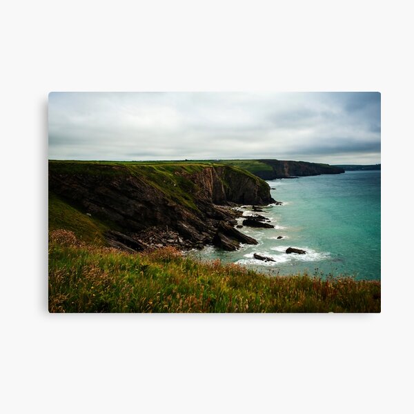 Wild Walk Canvas Print