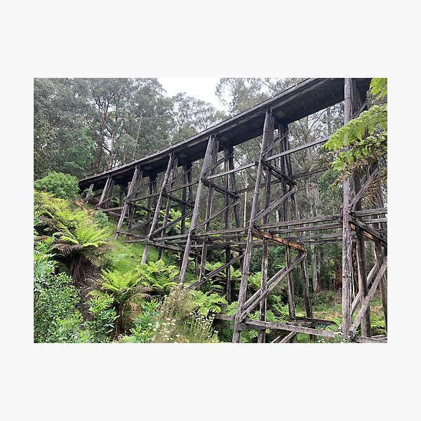 Item preview, Old Trestle Bridge at Noojee, Victoria, Australia designed and sold by Juliette Remfrey.