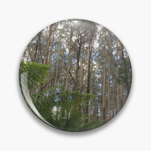 Item preview, Where the Mountain Ash meets the ferns, Toolangi, Victoria, Australia designed and sold by Juliette Remfrey.