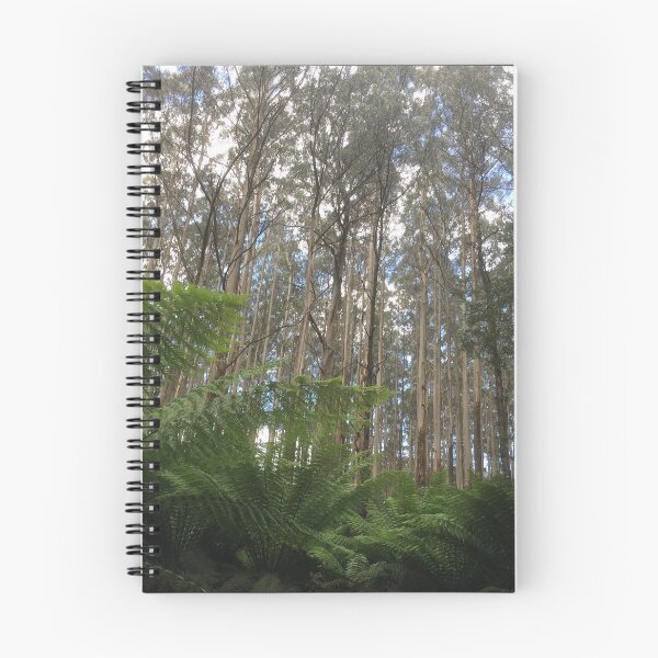 Item preview, Where the Mountain Ash meets the ferns, Toolangi, Victoria, Australia designed and sold by Juliette Remfrey.