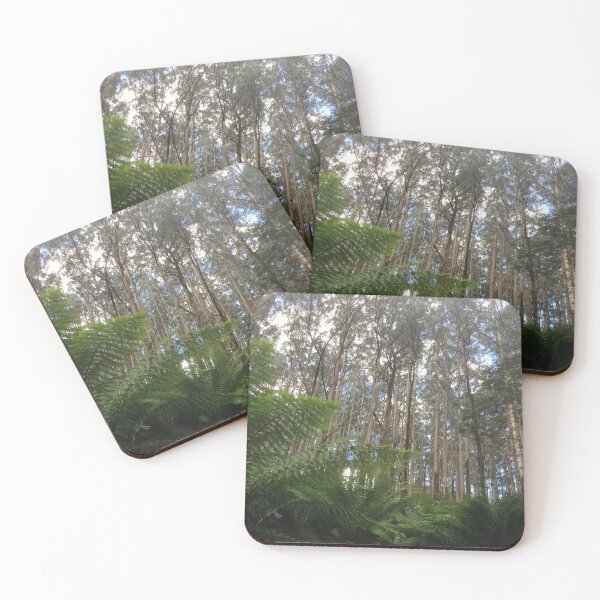 Item preview, Where the Mountain Ash meets the ferns, Toolangi, Victoria, Australia designed and sold by Juliette Remfrey.