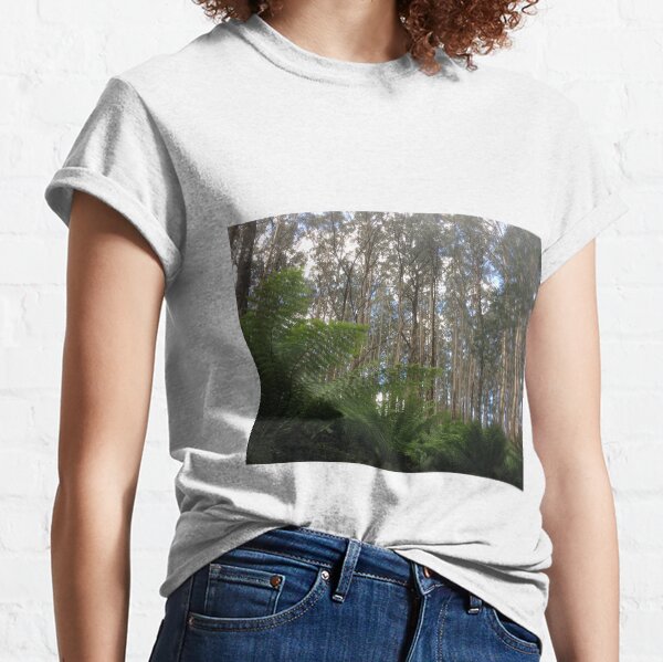 Where the Mountain Ash meets the ferns, Toolangi, Victoria, Australia Classic T-Shirt
