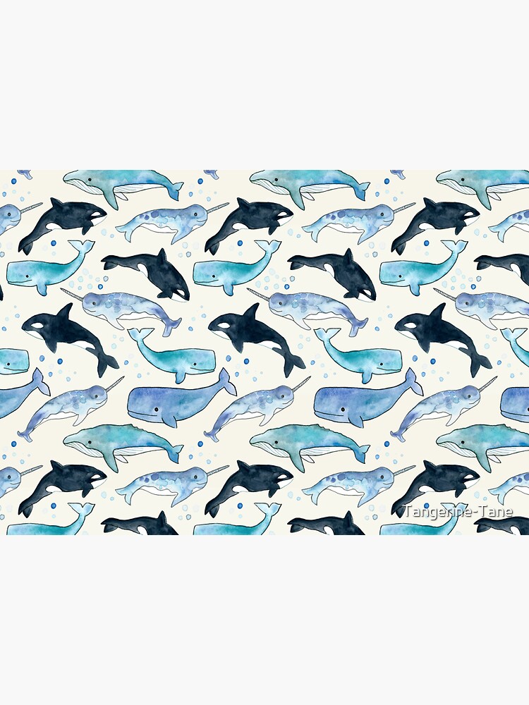 Whales, Orcas & Narwhals by Tangerine-Tane