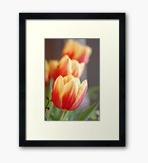Looking Forward To Spring II Framed Print