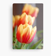 Looking Forward To Spring II Metal Print