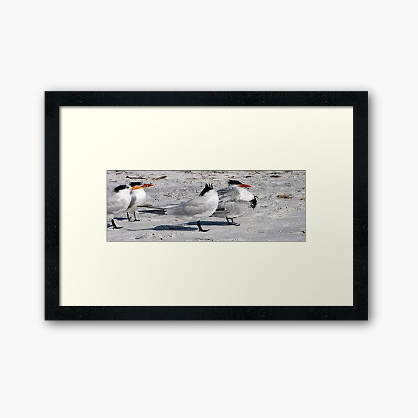 Damn Sand... Framed Art Print