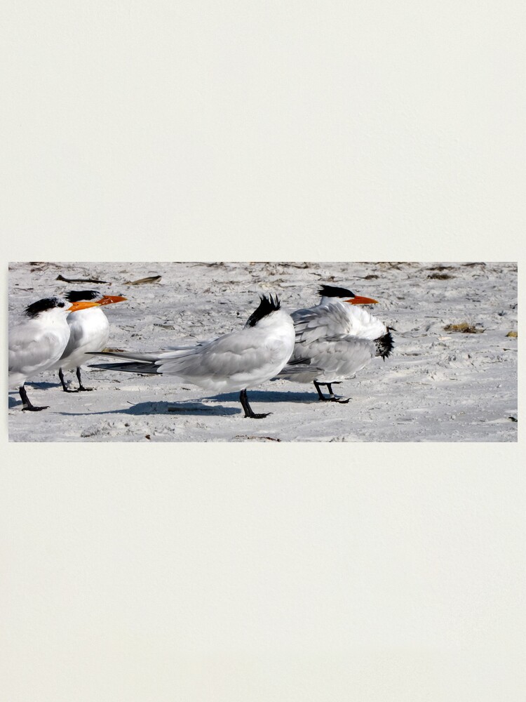 Alternate view of Damn Sand... Photographic Print