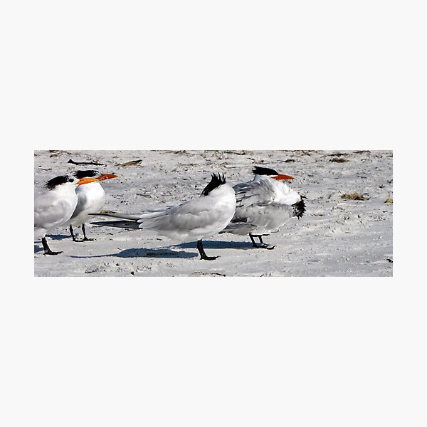 Damn Sand... Photographic Print