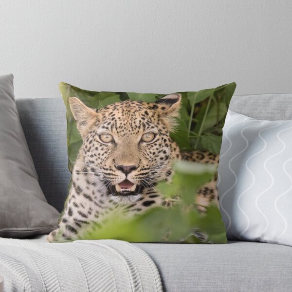 Aperçu de l'œuvre Leopard in hiding créée et vendue par Will Hore-Lacy.