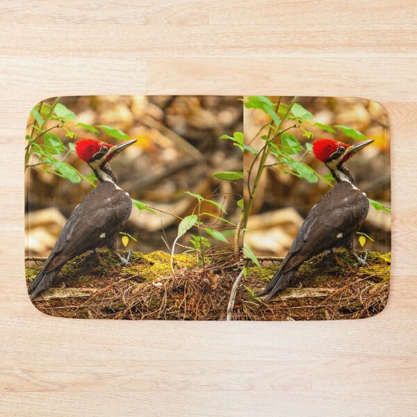 Item preview, Pileated Woodpecker on the lookout designed and sold by Dalyndigital Photography.