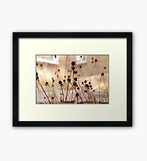 fragile Framed Print