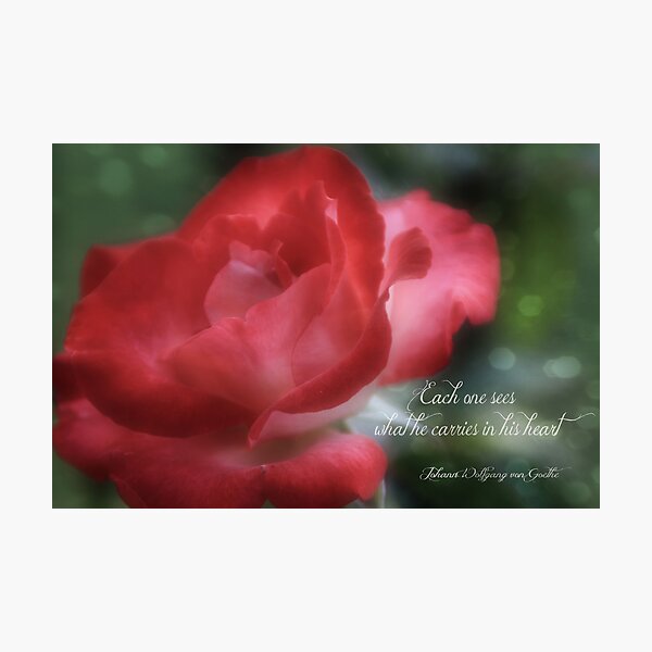 See With Your Heart Photographic Print