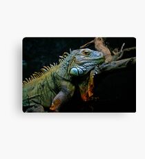Sleepy Dinosaur Canvas Print
