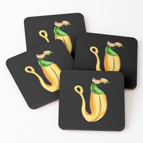 Item preview, Nepenthes Bicalcarata Pitcher Plant Carnivorous plant gift designed and sold by Carnivorous  Plant Club ⭐⭐⭐⭐⭐.