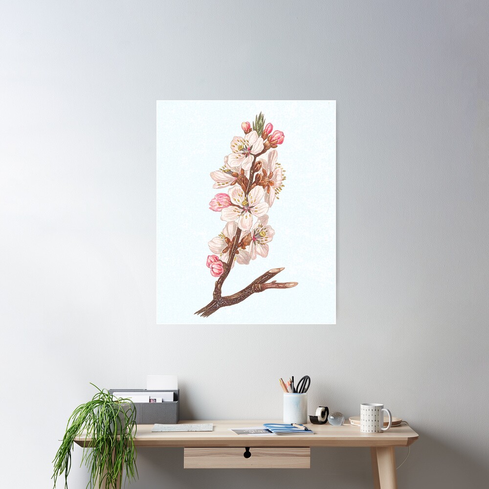 Spring is the vehicle of hope- blossom branch Poster