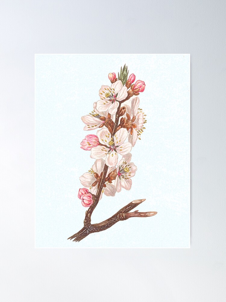 Alternate view of Spring is the vehicle of hope- blossom branch Poster