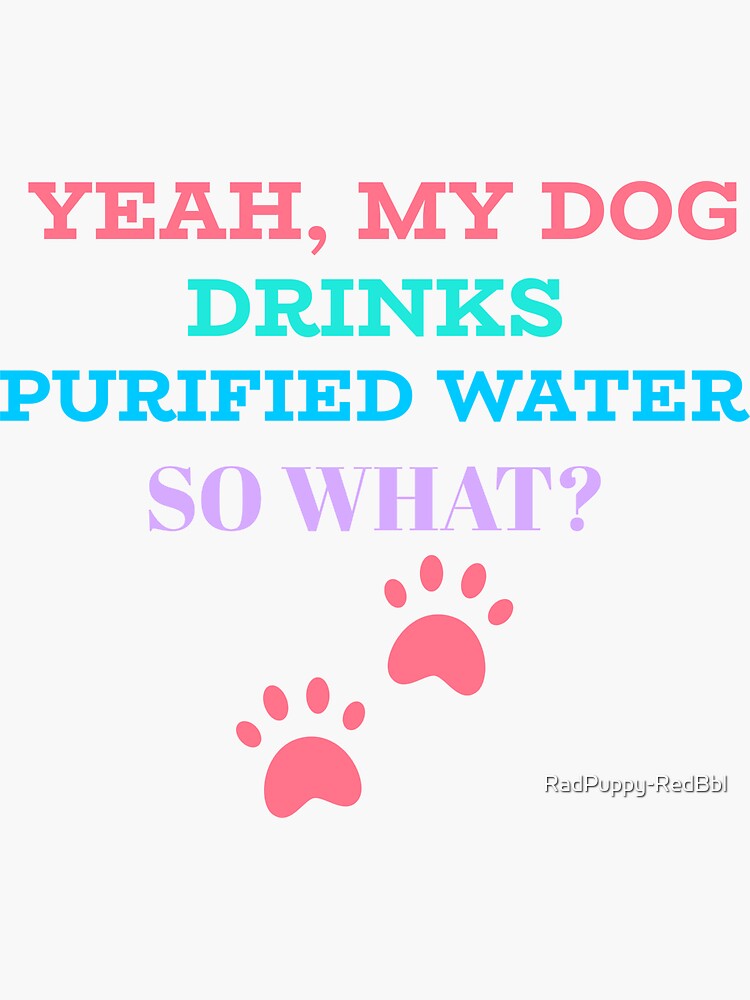 "YEA MY DOG DRINKS PURIFIED WATER SO WHAT" Sticker for Sale by RadPuppy
