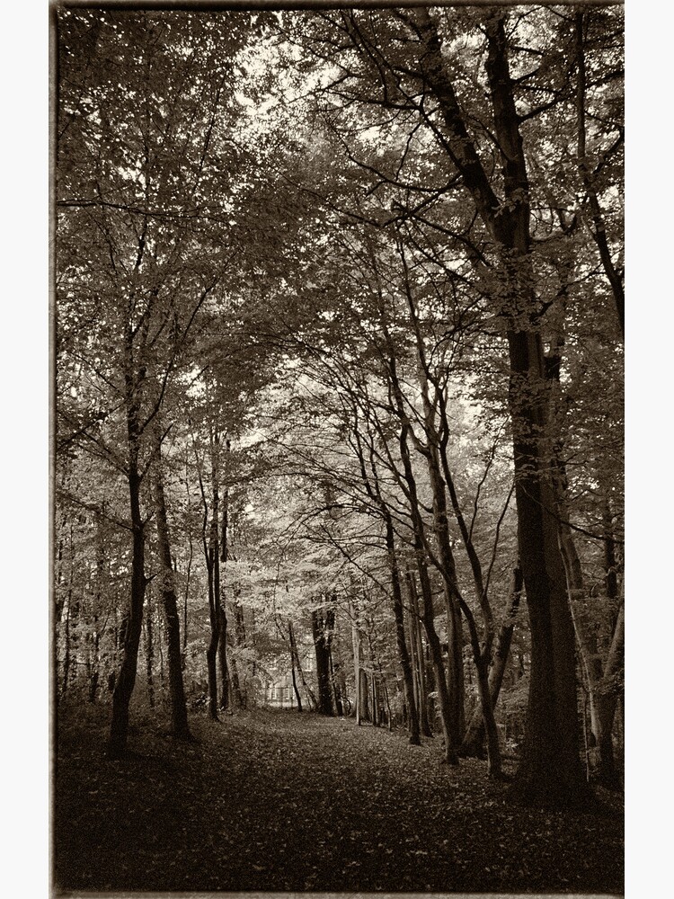 Rolduc Abbey Park, Kerkrade, Netherlands by Lenka